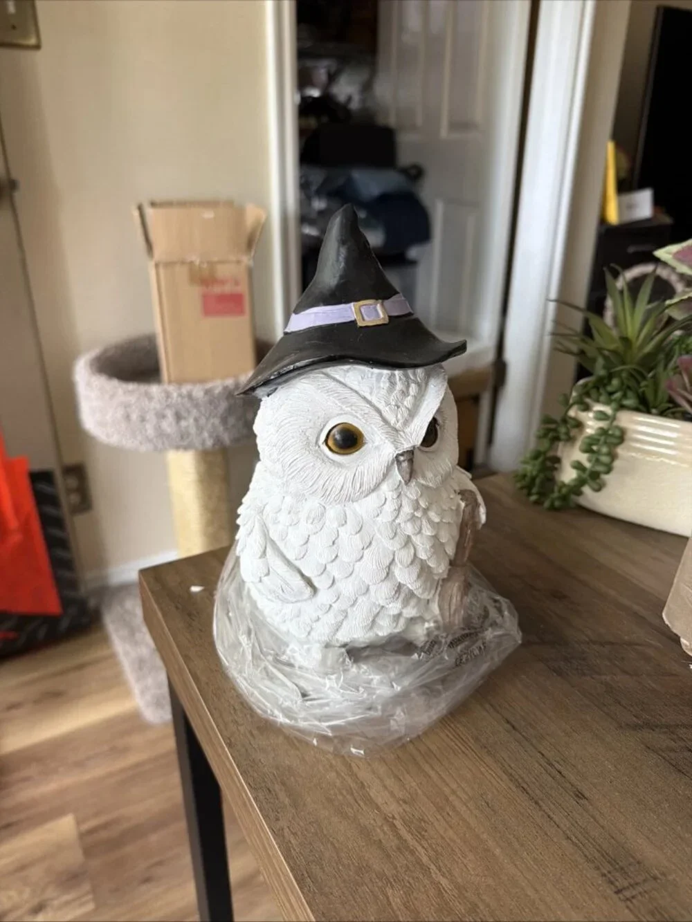 TOIL AND TROUBLE 9in Resin Witch Owl Statue - NIB